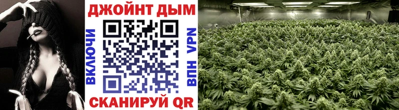 Виды наркотиков купить Козельск COCAIN  Меф  Alpha-PVP  Марихуана  ГАШ 