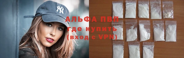 молекула духа Надым