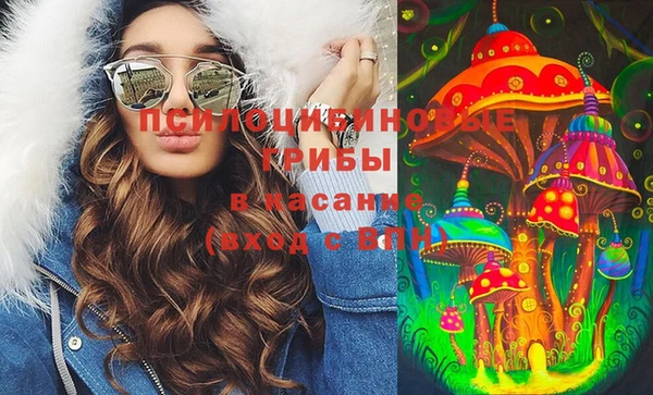 молекула духа Надым