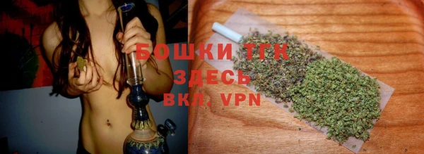 прущие грибы Белая Холуница