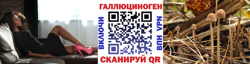 Псилоцибиновые грибы мухоморы  Козельск 